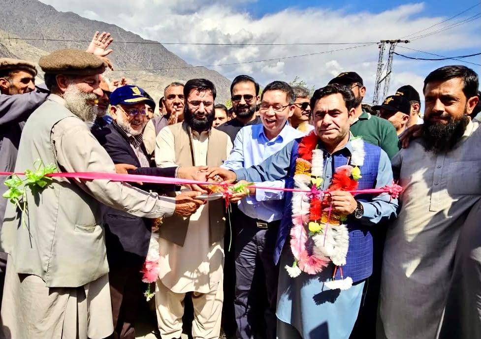 Diamer Basha dam